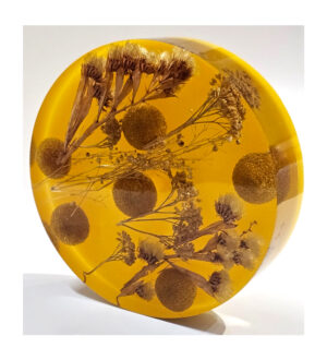 מחזיק ספרים עגול 15X4